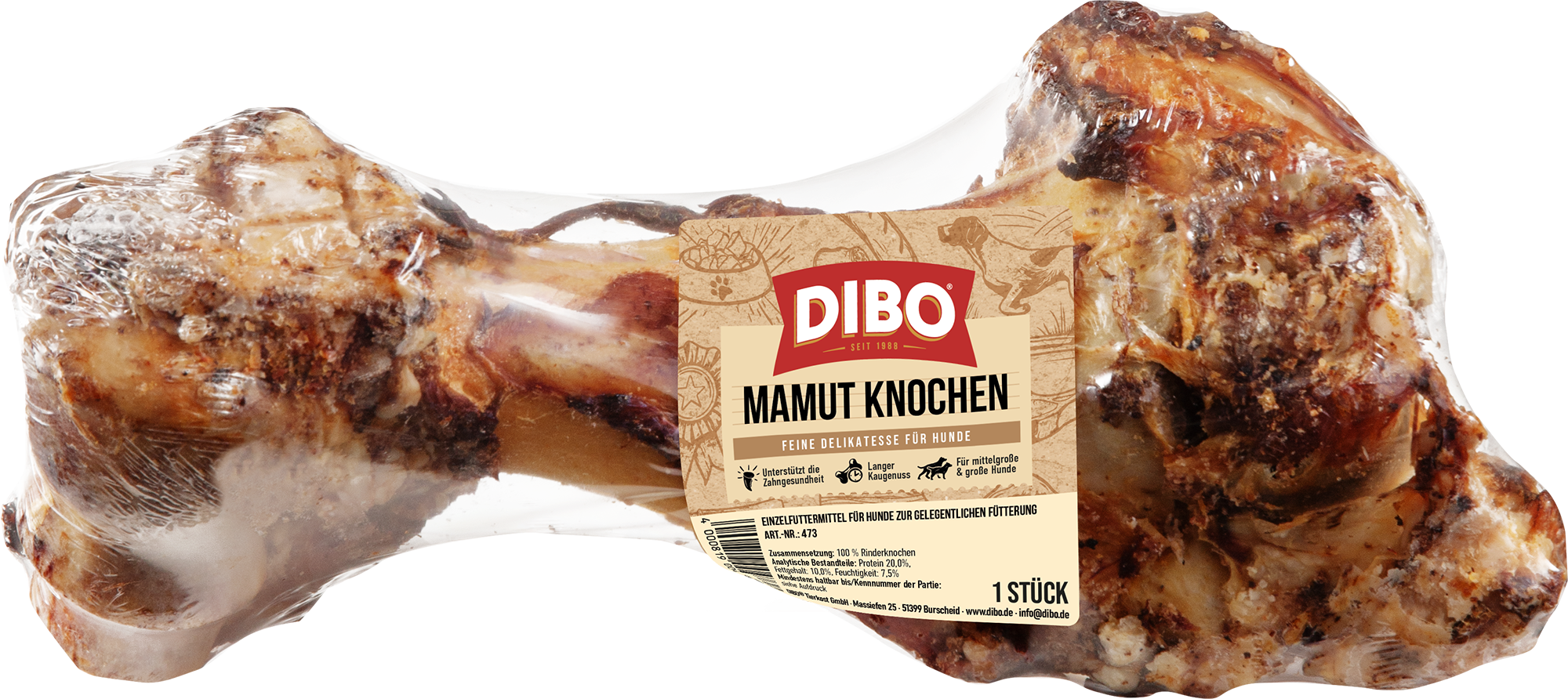 Mamut-Knochen