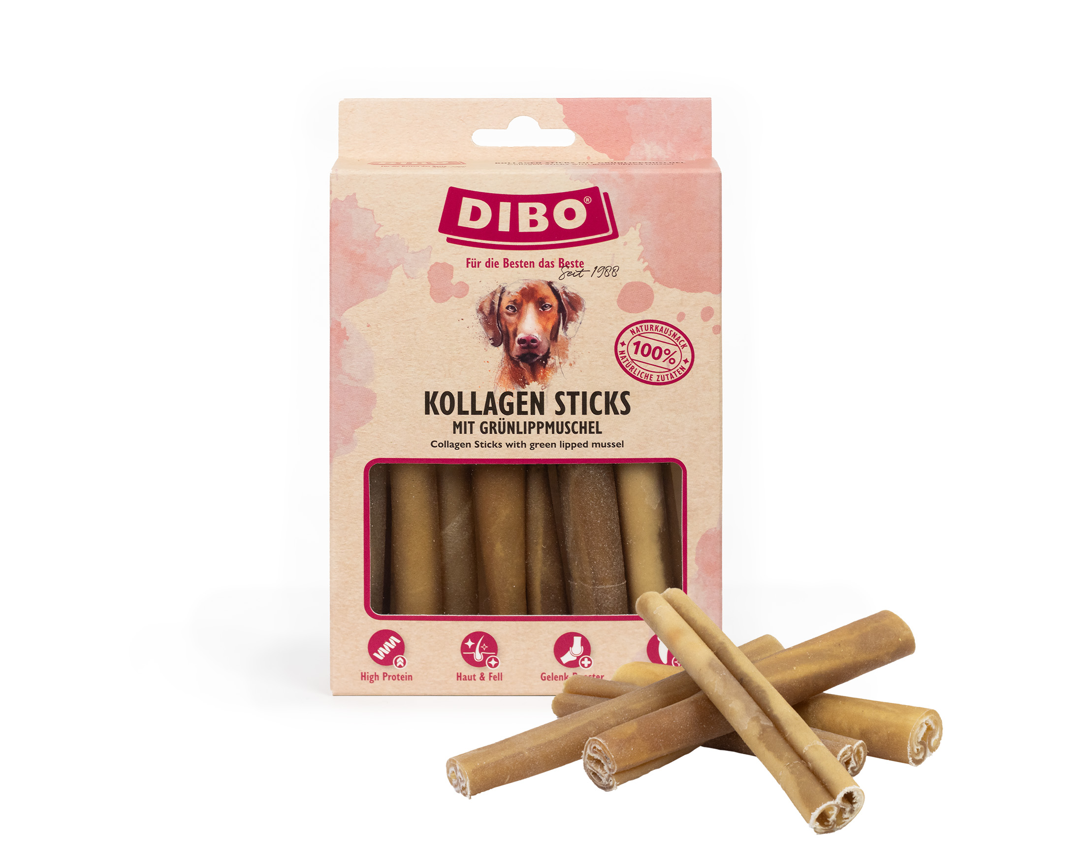 Kollagen Sticks mit Grünlippmuschel