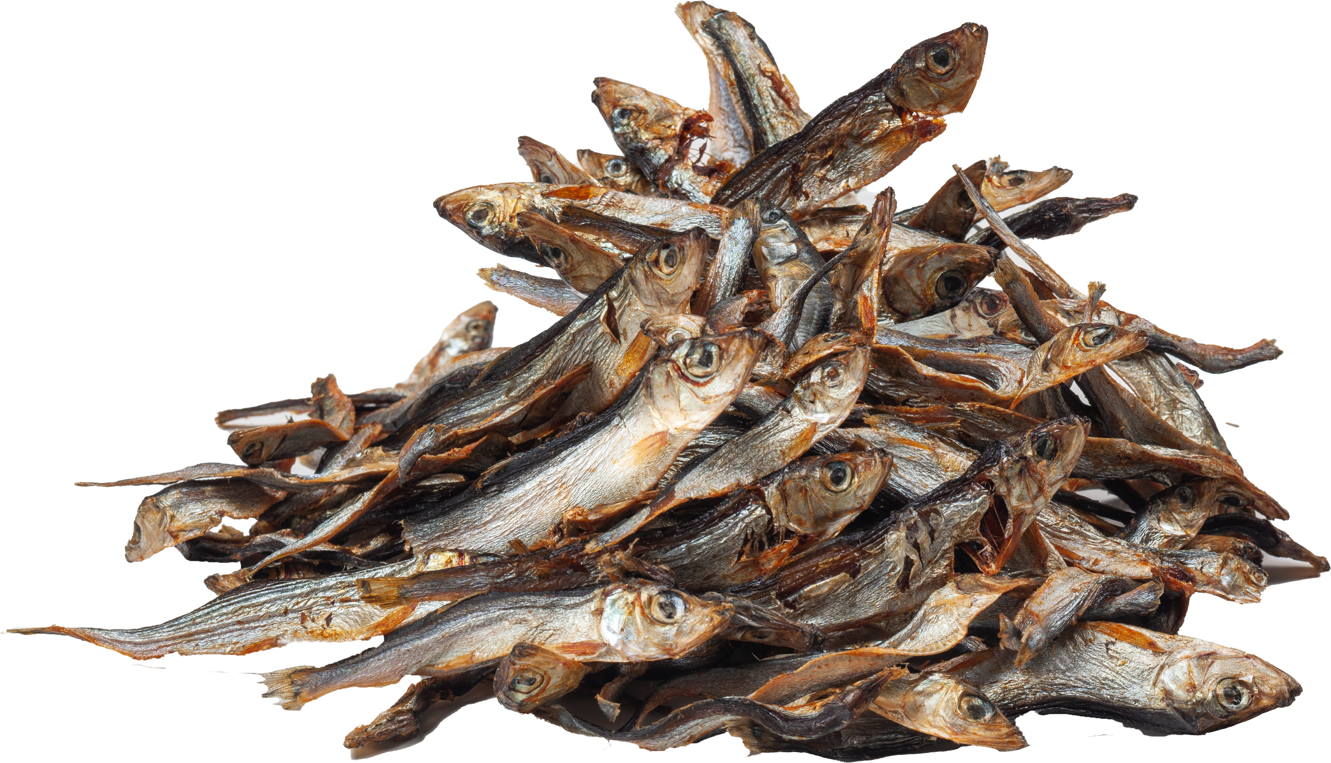 Fisch Fisch