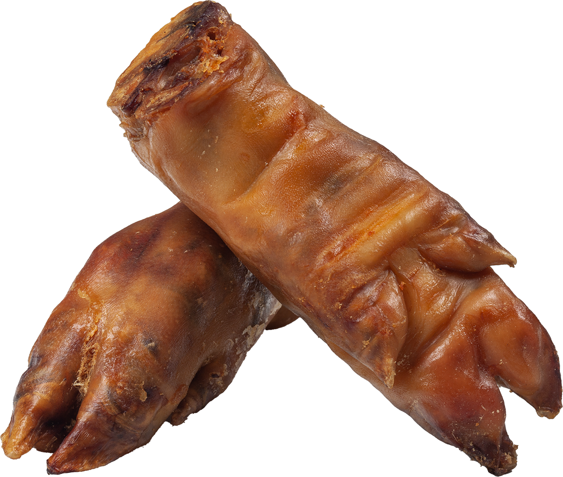 Schweine-Pfoten