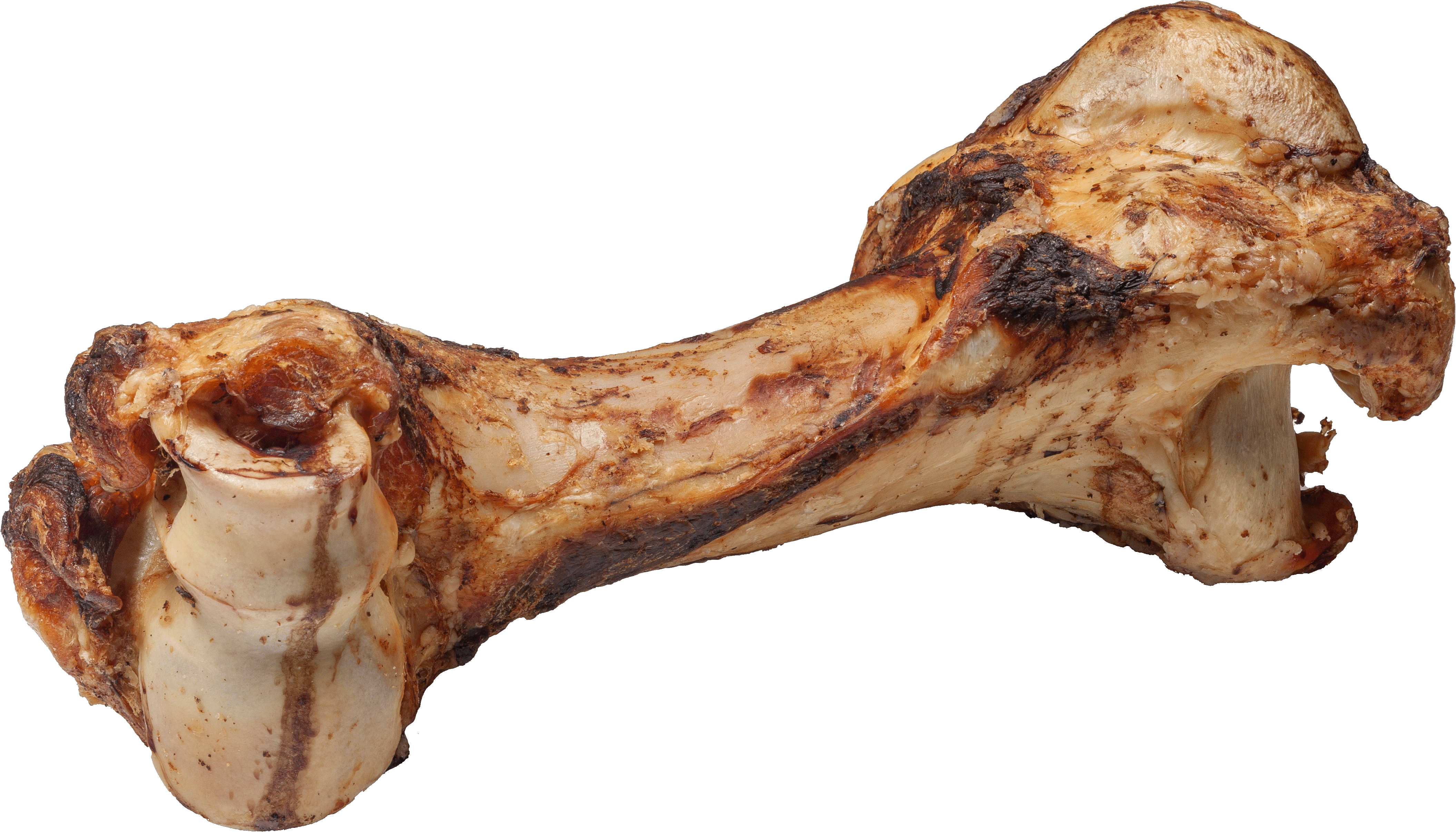 Mamut-Knochen